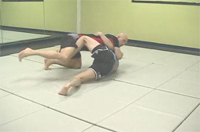 Butterfly Guard Sweep