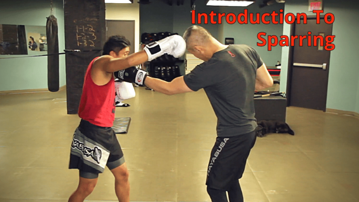 Kickboxing Sparring: Everything You Need To Know