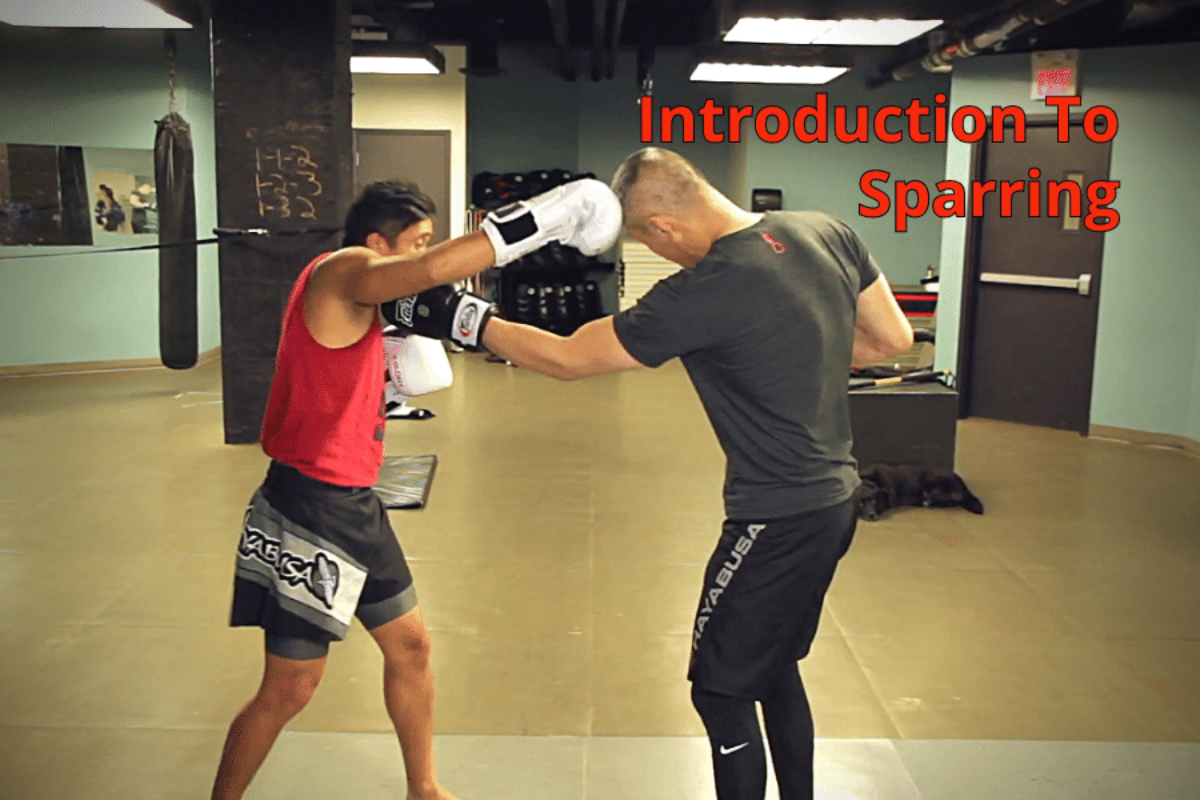 Kick Boxing: The Ultimate Guide to Conditioning, Sparring, Fighting, and  More