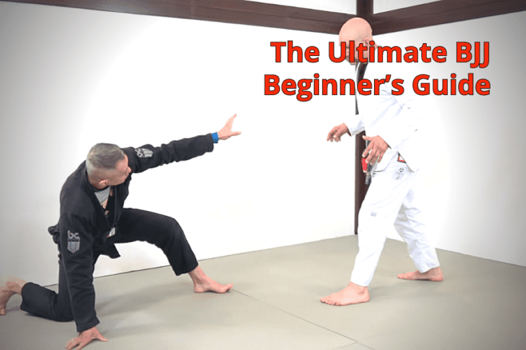 THE ULTIMATE BJJ BEGINNER’S GUIDE Infighting