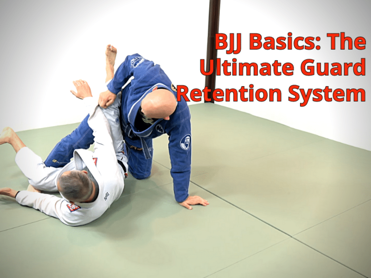 Review: The 32 Principles of Jiujitsu (UPDATE) – Develop Your Jiujitsu  A-Game