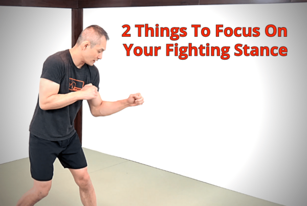 143-2_things_to_focus_on_your_fighting_stance