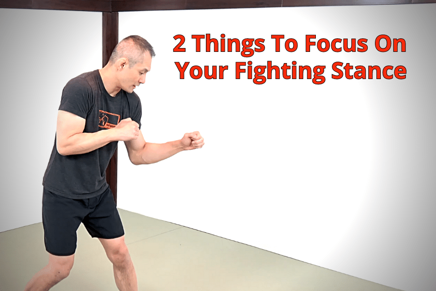 143-2_things_to_focus_on_your_fighting_stance