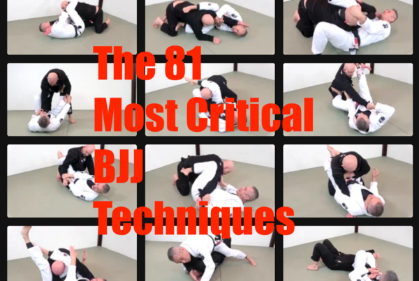 The 81 Most Critical BJJ Techniques And The Principle That Rules Them All