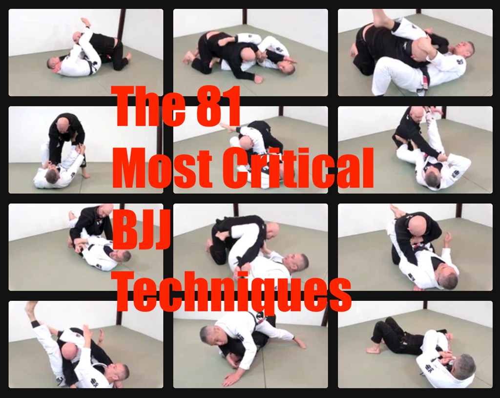 The 81 Most Critical BJJ Techniques And The Principle That Rules Them All