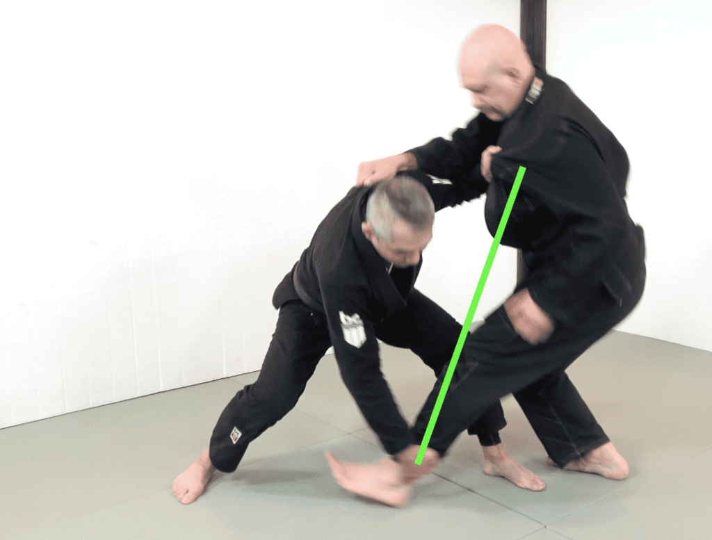 The 81 Most Critical BJJ Techniques And The Principle That Rules Them All