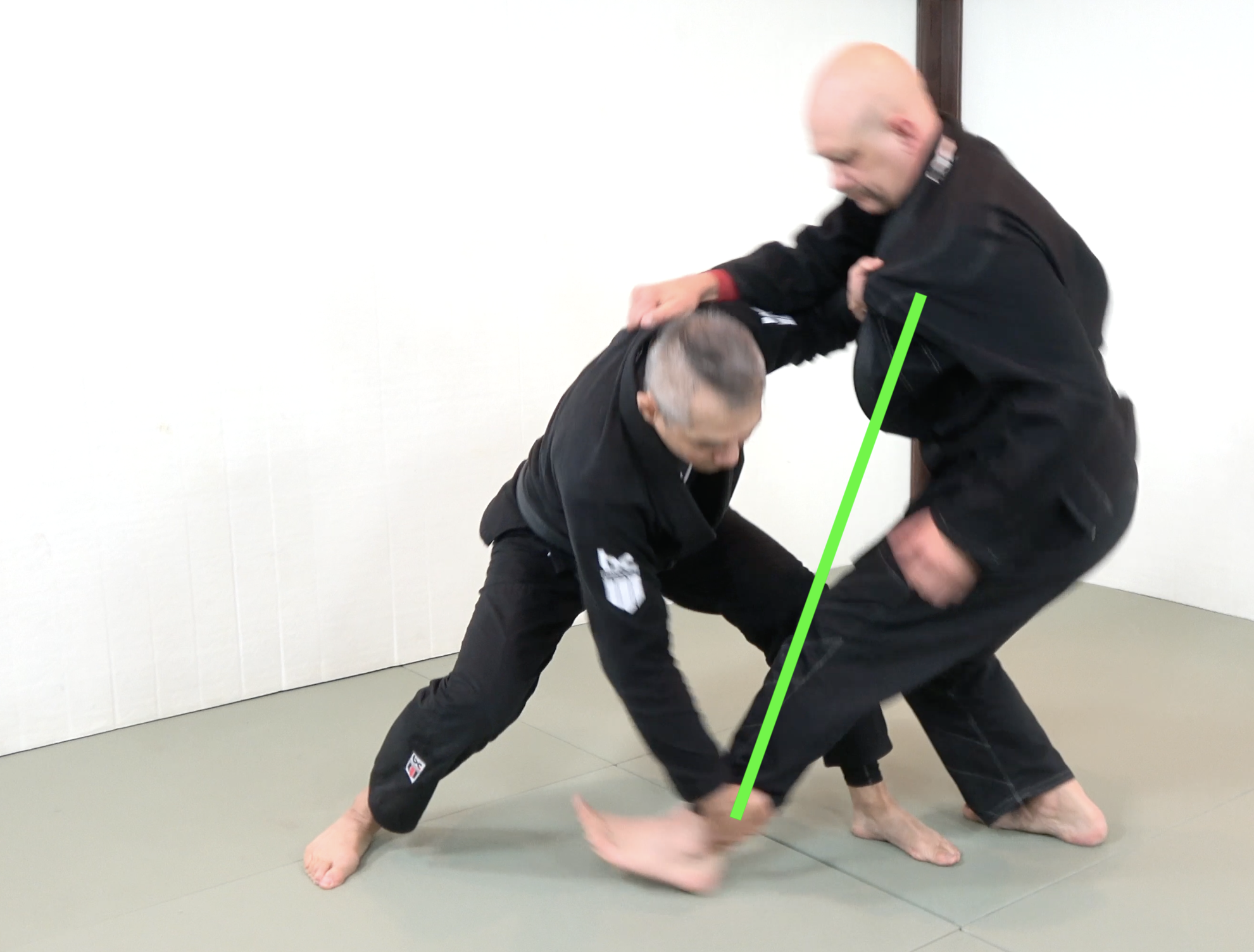 Ankle Pick BJJ Technique