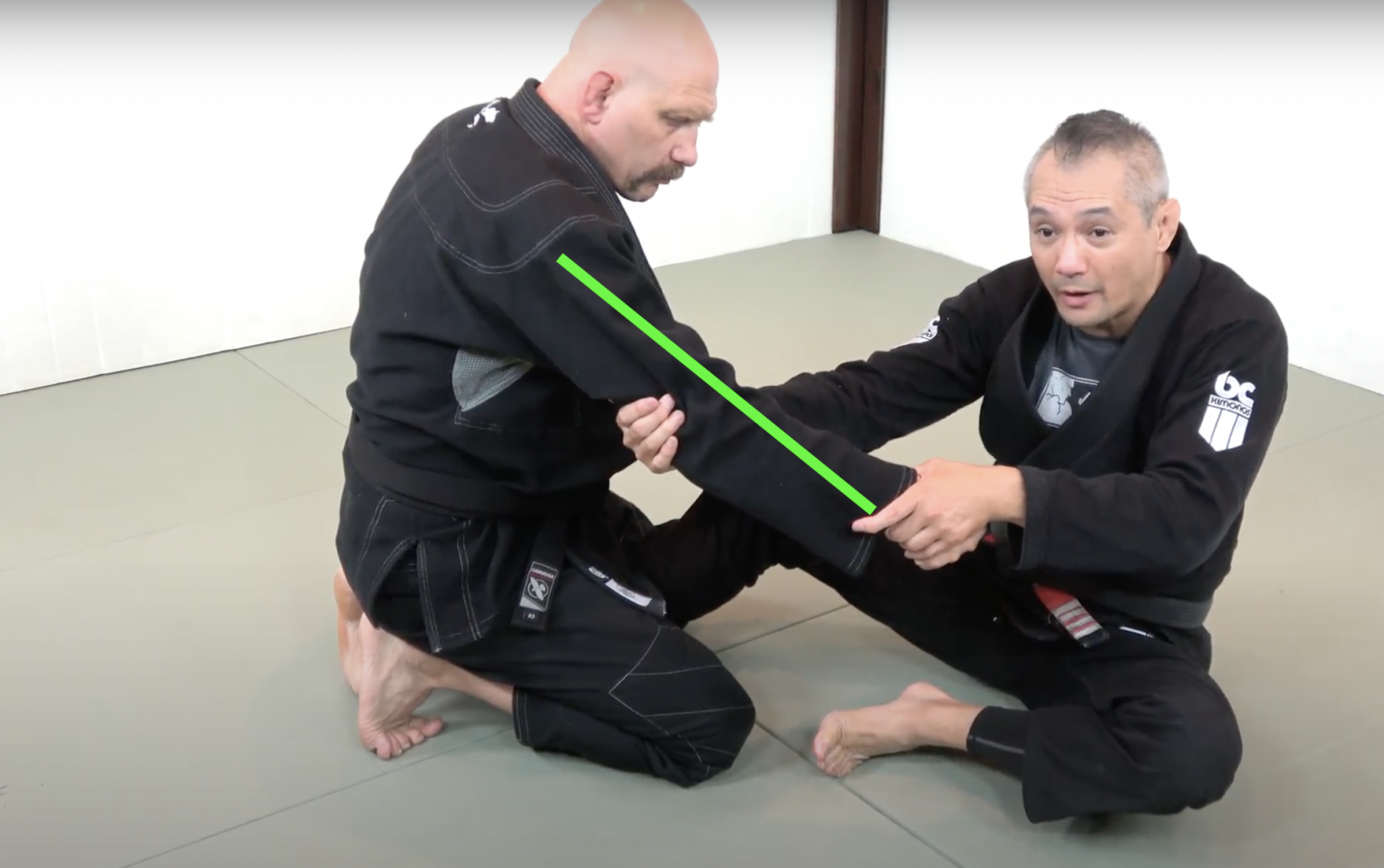 Arm drag BJJ Technique