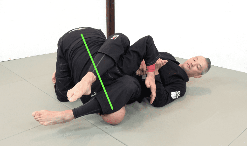 The 81 Most Critical BJJ Techniques And The Principle That Rules Them All