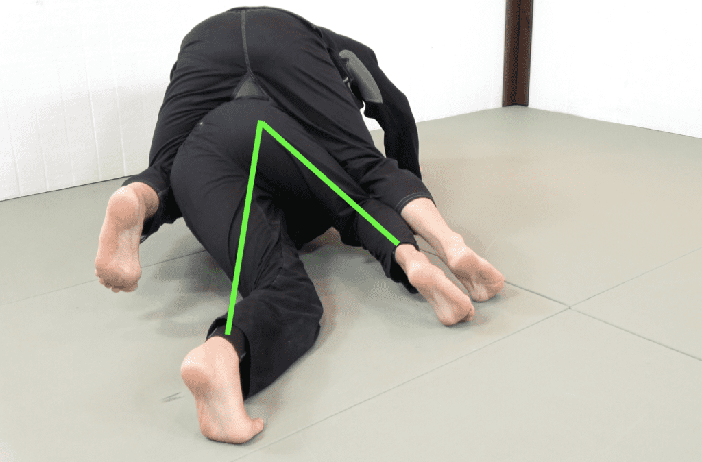 The 81 Most Critical BJJ Techniques And The Principle That Rules Them All