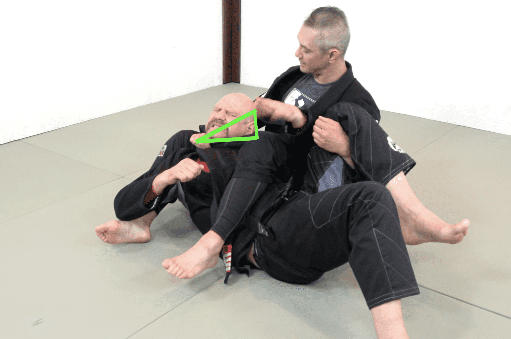 The 81 Most Critical BJJ Techniques And The Principle That Rules Them All