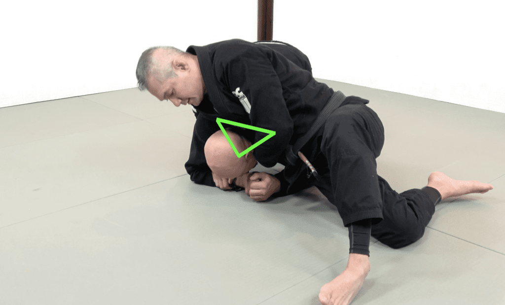 The 81 Most Critical BJJ Techniques And The Principle That Rules Them All