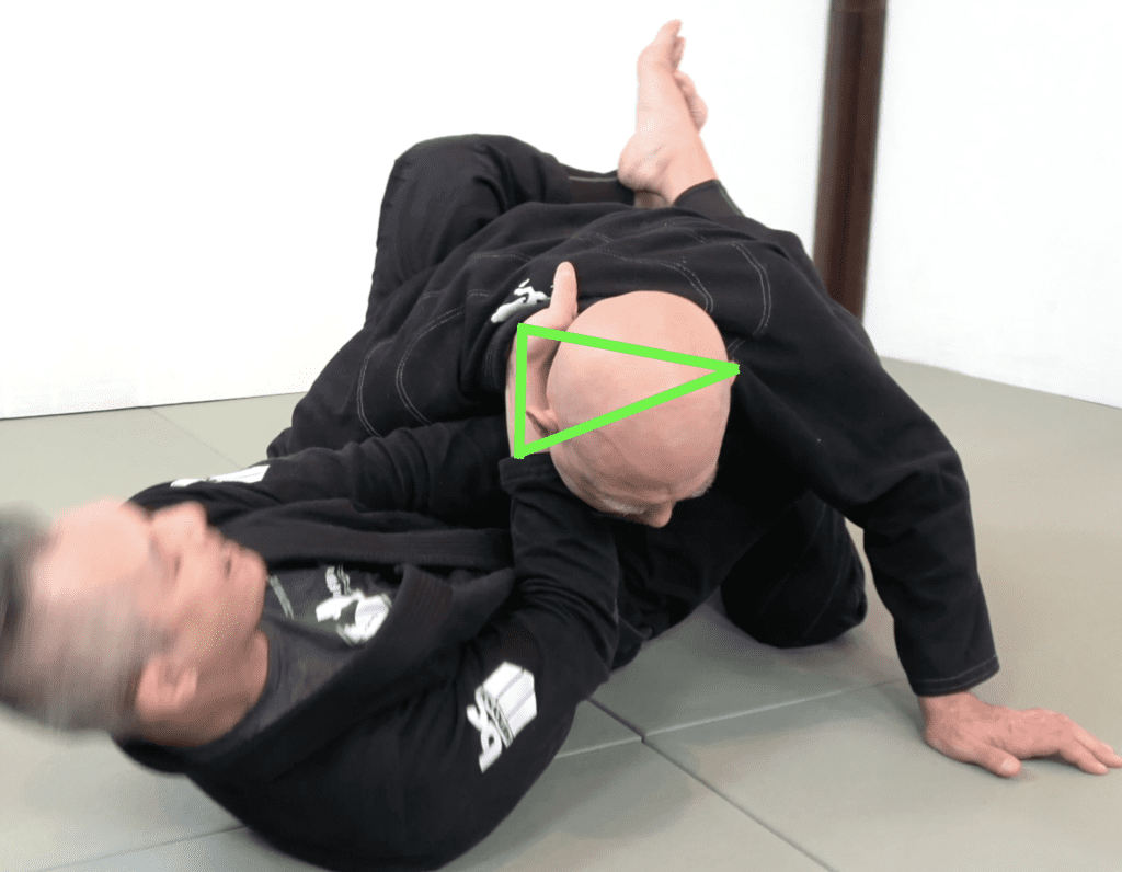 The 81 Most Critical BJJ Techniques And The Principle That Rules Them All