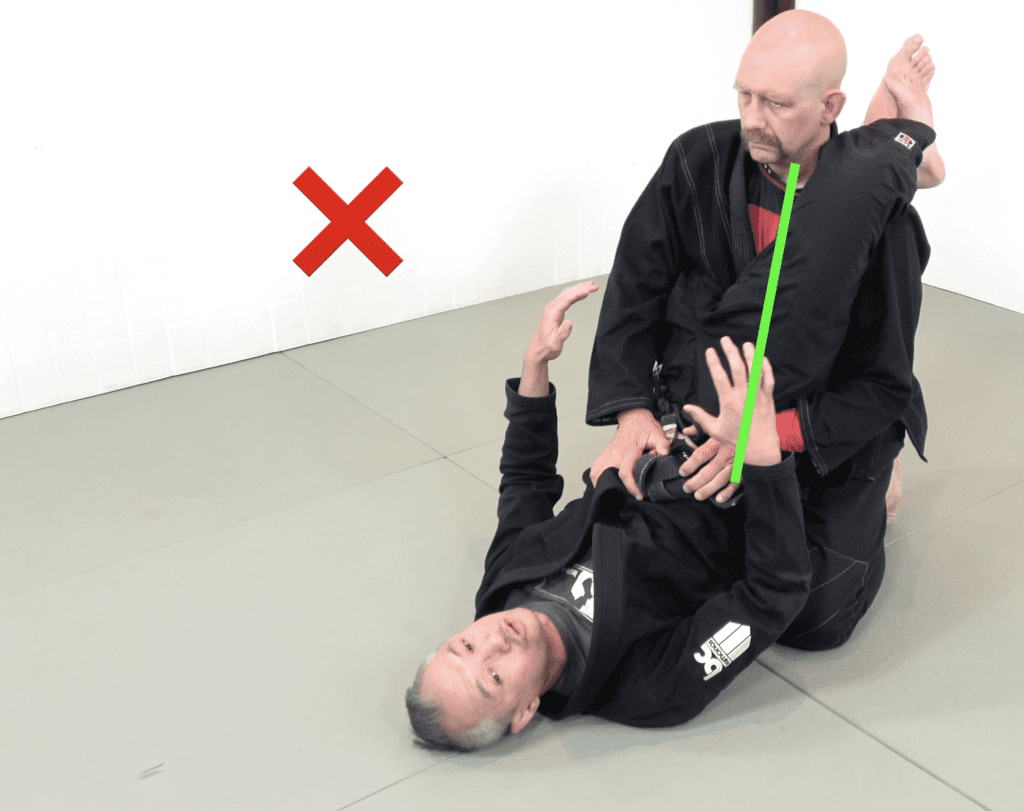 The 81 Most Critical BJJ Techniques And The Principle That Rules Them All