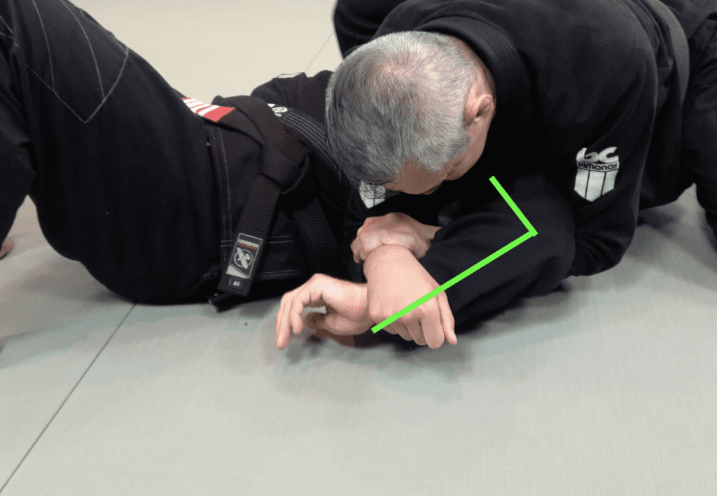 The 81 Most Critical BJJ Techniques And The Principle That Rules Them All