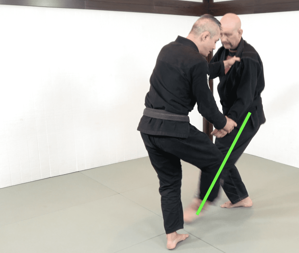 The 81 Most Critical BJJ Techniques And The Principle That Rules Them All