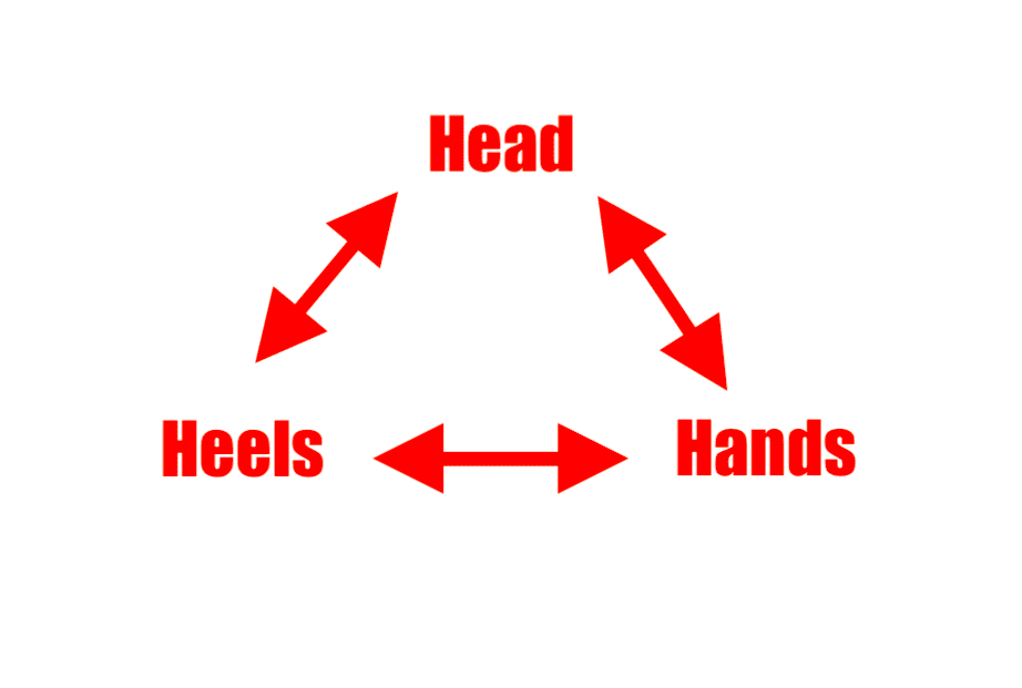BJJ Basics The Ultimate Guard Retention System Infighting