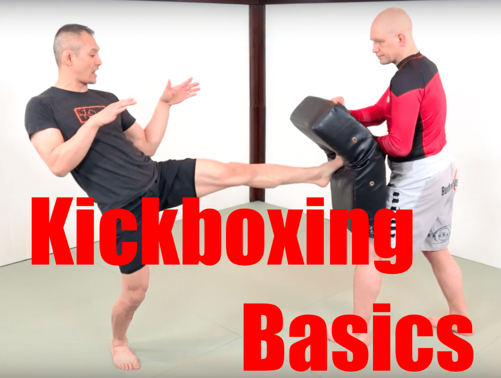 Kickboxing basics cover
