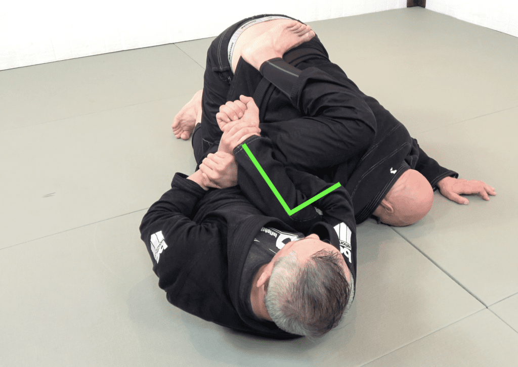 The 81 Most Critical BJJ Techniques And The Principle That Rules Them All