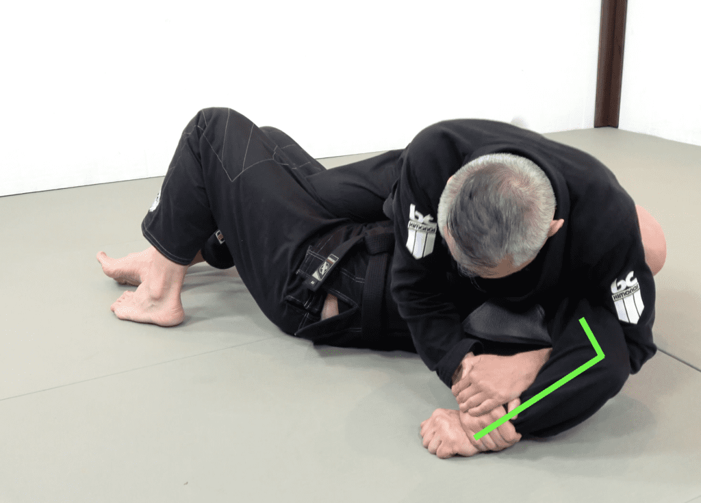 The 81 Most Critical BJJ Techniques And The Principle That Rules Them All