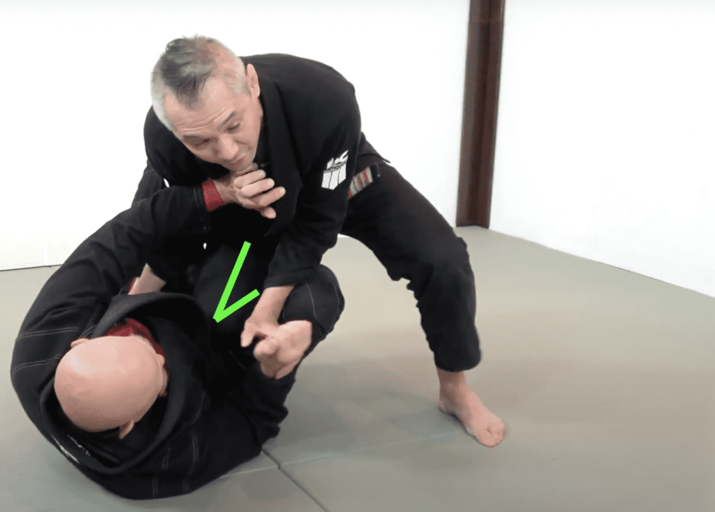 The 81 Most Critical BJJ Techniques And The Principle That Rules Them All