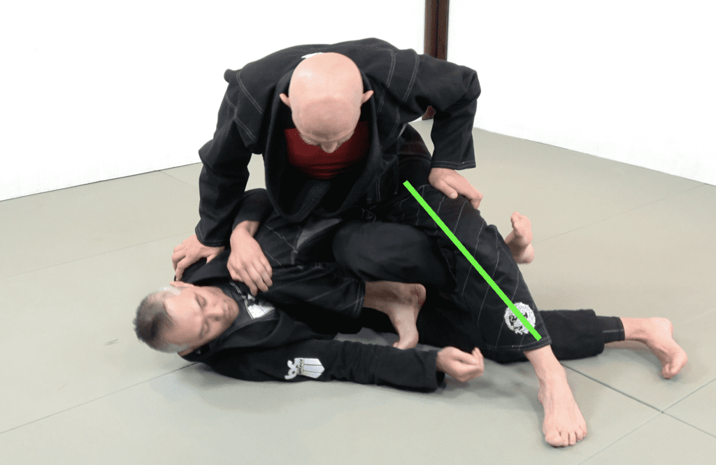 The 81 Most Critical BJJ Techniques And The Principle That Rules Them All