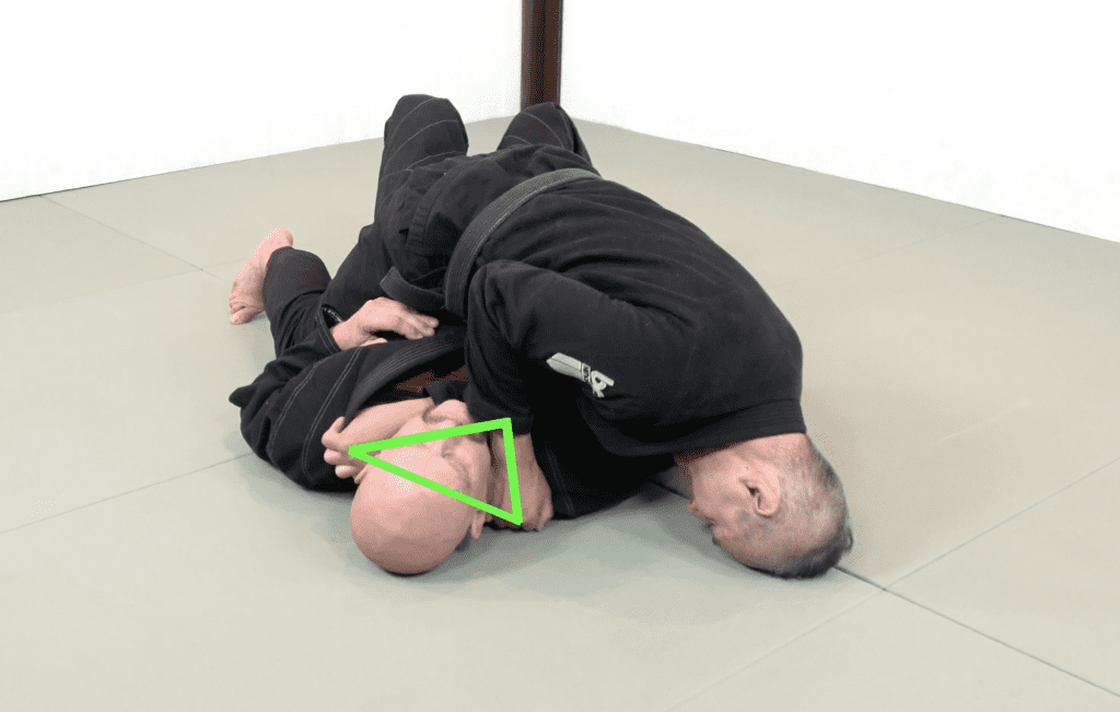 The 81 Most Critical BJJ Techniques And The Principle That Rules Them All