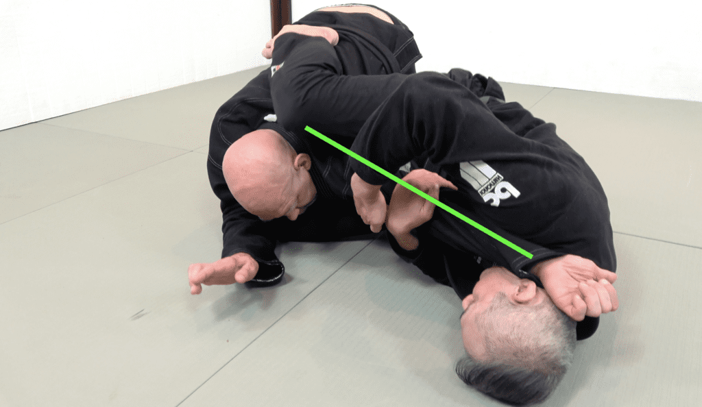 The 81 Most Critical BJJ Techniques And The Principle That Rules Them All