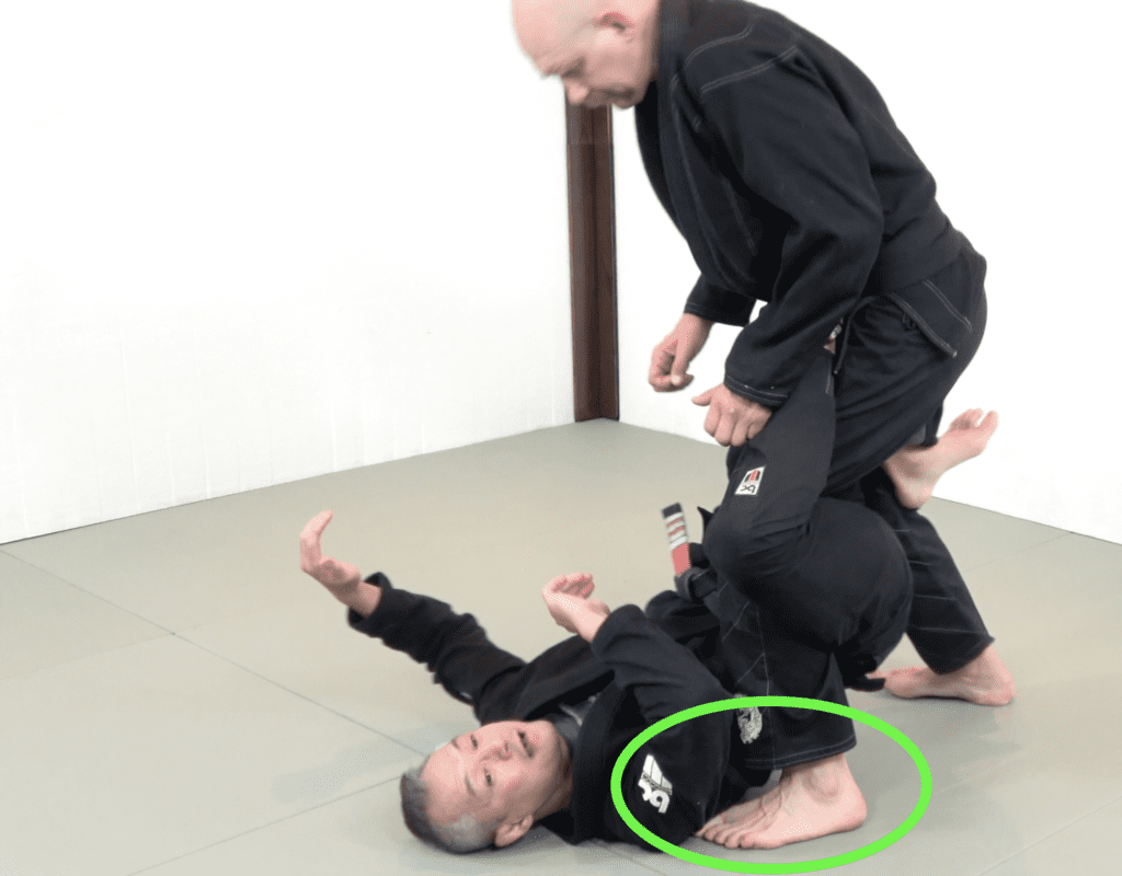 The 81 Most Critical BJJ Techniques And The Principle That Rules Them All