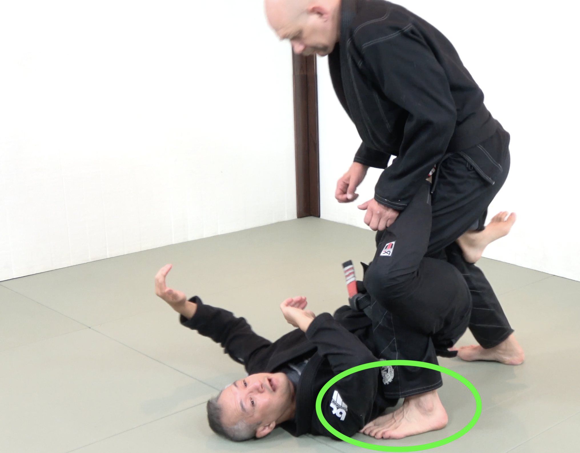 SLX BJJ Technique