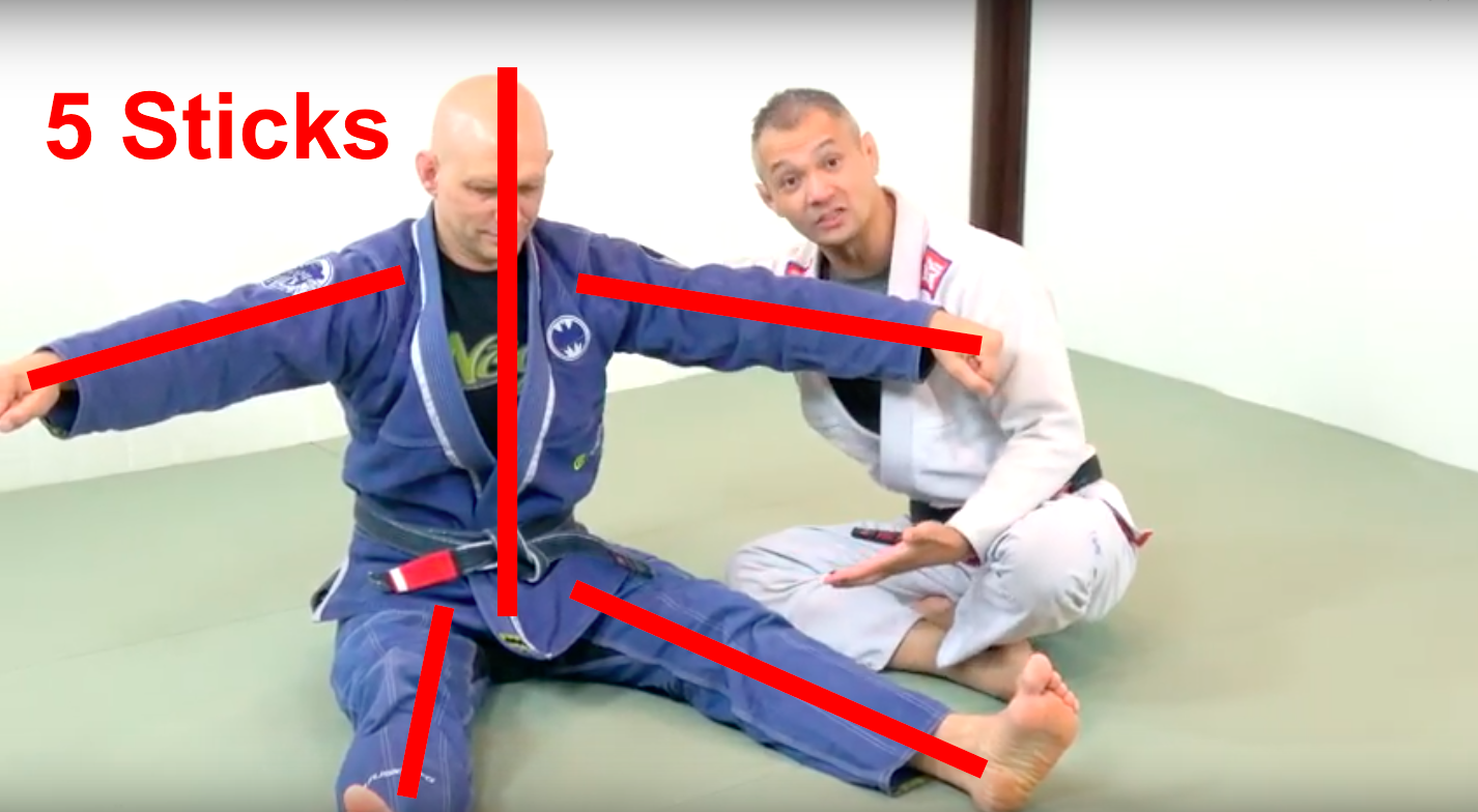 bjj is basically stick fighting and the human body is 5 sticks