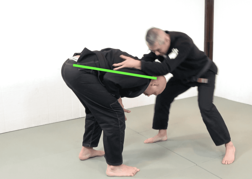 The 81 Most Critical BJJ Techniques And The Principle That Rules Them All