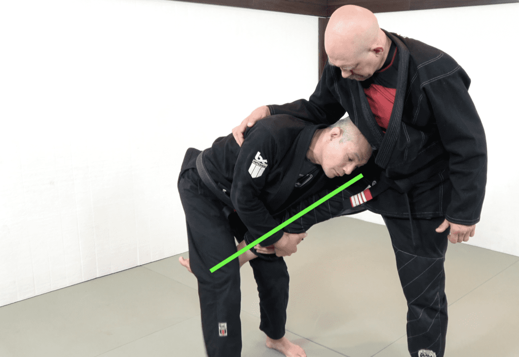 The 81 Most Critical BJJ Techniques And The Principle That Rules Them All