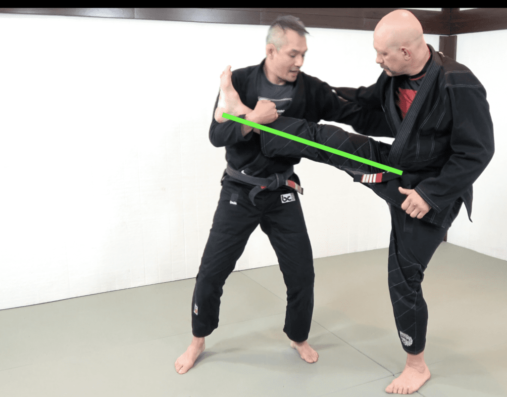 The 81 Most Critical BJJ Techniques And The Principle That Rules Them All