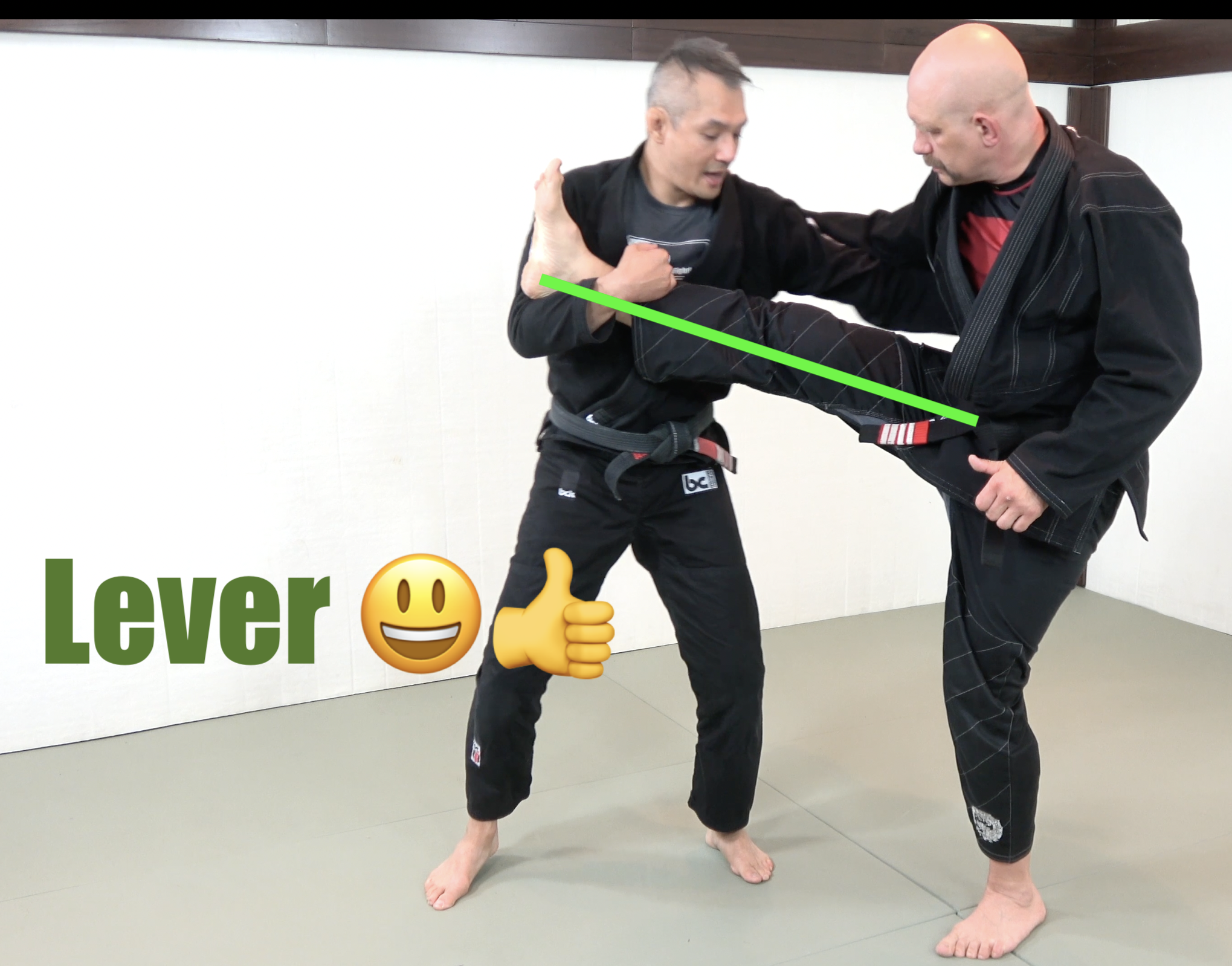 demonstration of a lever for BJJ Techniques