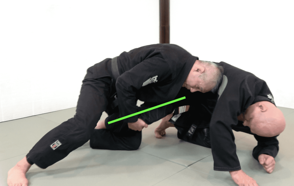 The 81 Most Critical BJJ Techniques And The Principle That Rules Them All