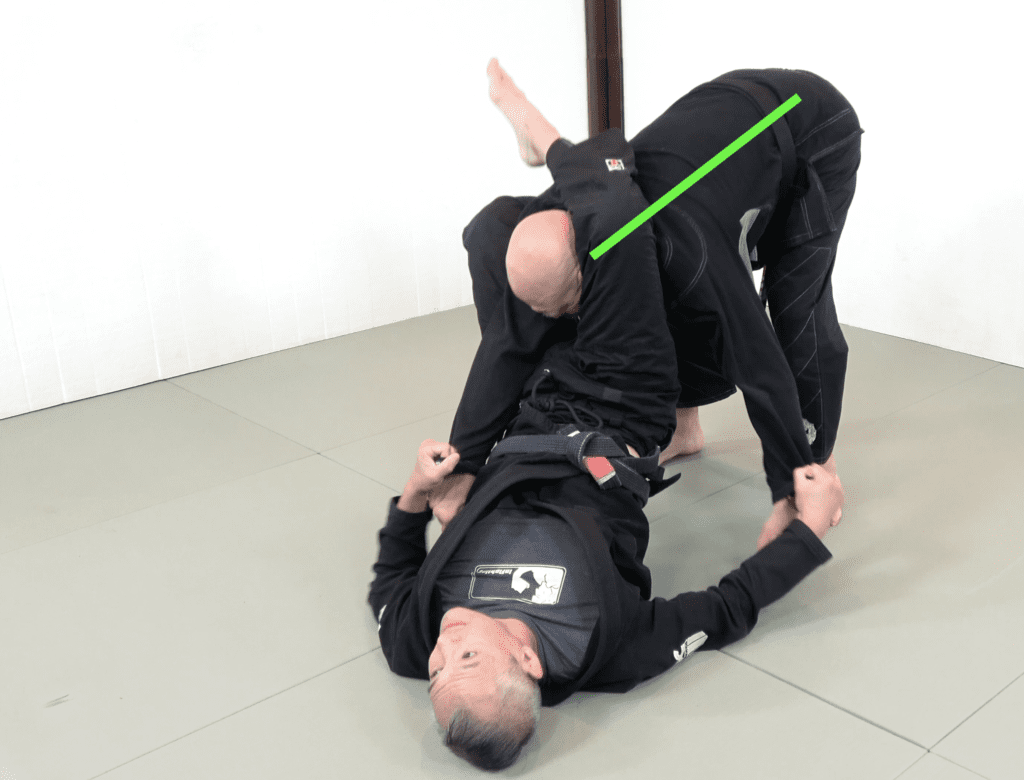 The 81 Most Critical BJJ Techniques And The Principle That Rules Them All