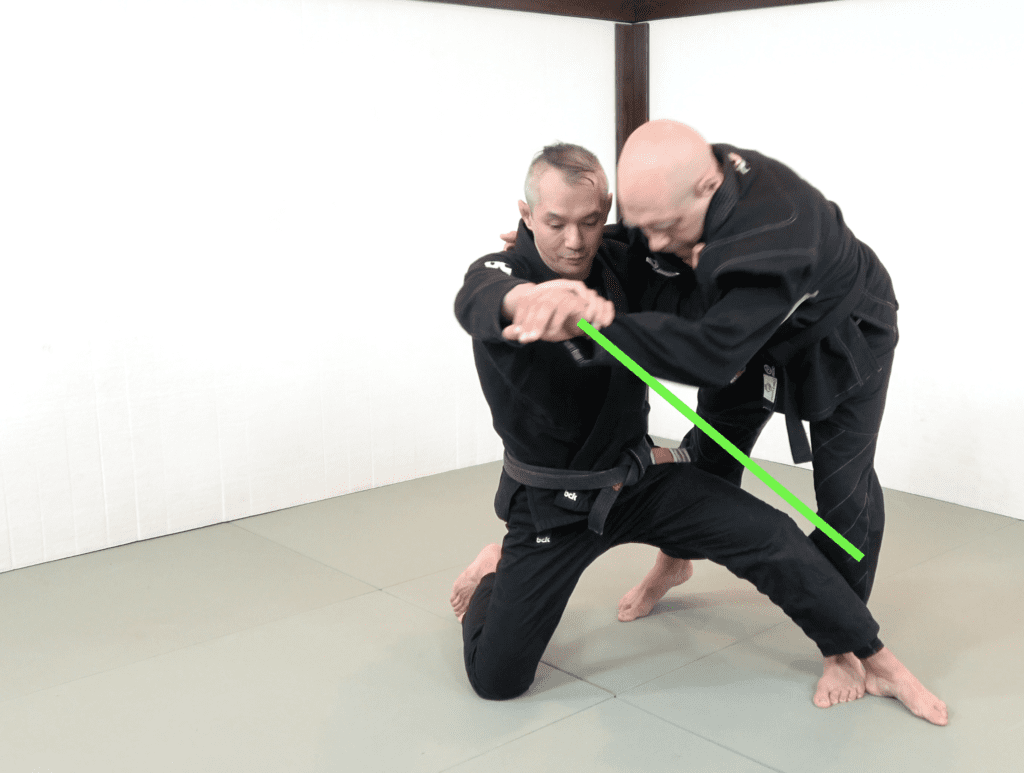 The 81 Most Critical BJJ Techniques And The Principle That Rules Them All