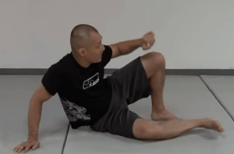 how to do a technical stand up in BJJ