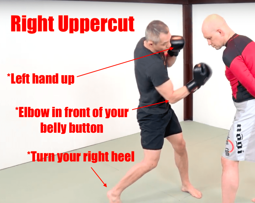 This list of details will help you throw the right uppercut properly