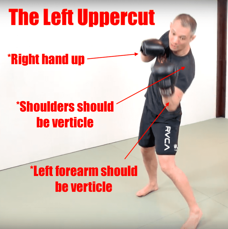 These are the details you need to keep in mind when you're practicing the left uppercut