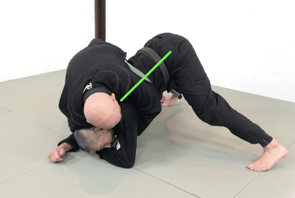 The 81 Most Critical BJJ Techniques And The Principle That Rules Them All